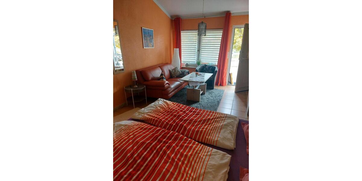 Erdgeschoßwohnung Trier Nord - 1 Zimmer, 45 m&sup2;, 650&euro; | Angebot:24803056