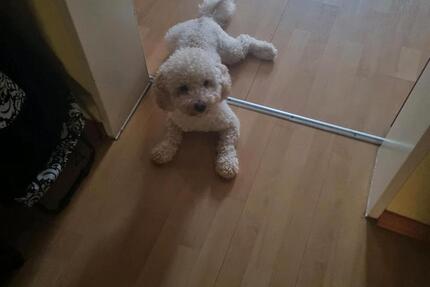 sweet little home 2 zimmer