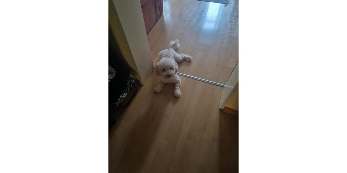 sweet little home 2 zimmer