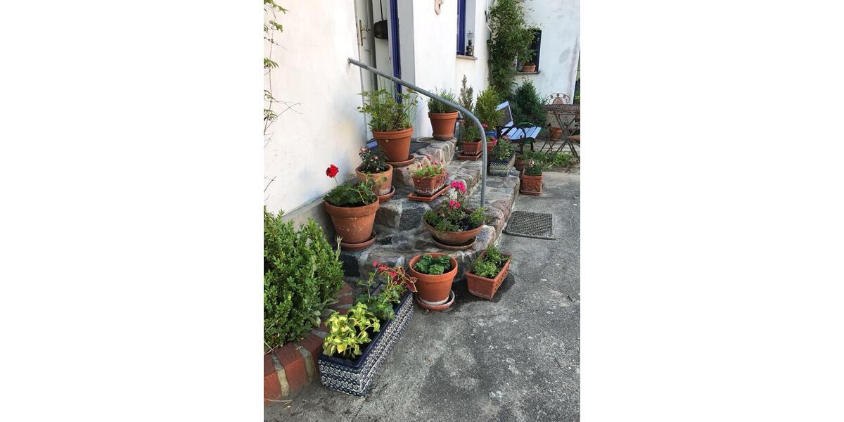 Wohnen auf Zeit Wiesenburg/Mark Mark - 1 Zimmer, 35 m&sup2;, 490&euro; | Angebot:24851381