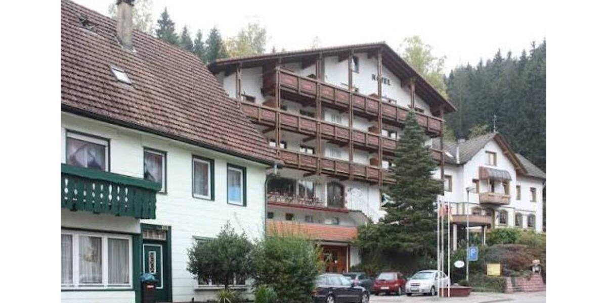 Etagenwohnung Baiersbronn - 1 Zimmer, 19 m&sup2;, 300&euro; | Angebot:25858008