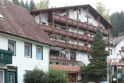 Wohnung Baiersbronn - 1 Zimmer, 19 m&sup2;, 300&euro; | Angebot:25858008