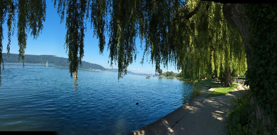 Etagenwohnung Bodman-Ludwigshafen Ludwigshafen - 3 Zimmer, 58 m&sup2;, 1.150&euro; | Angebot:25413144