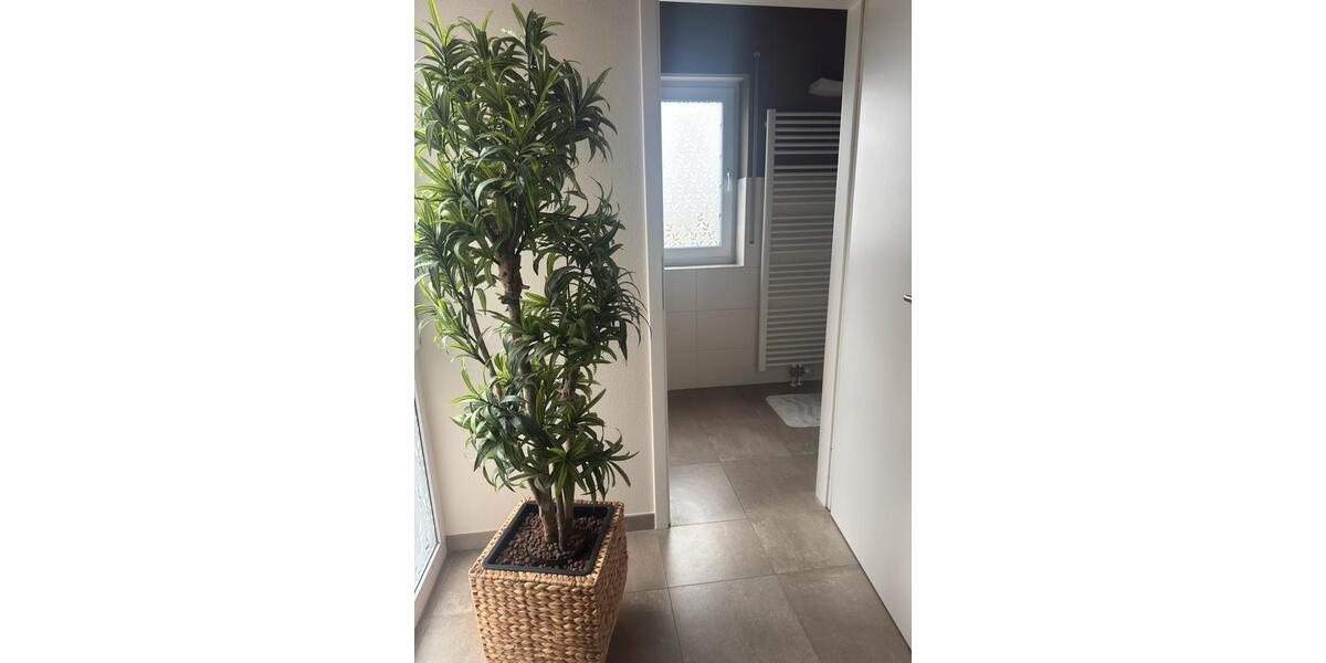 Gewerbeobjekt Lich - 850&euro; | Angebot:24737719