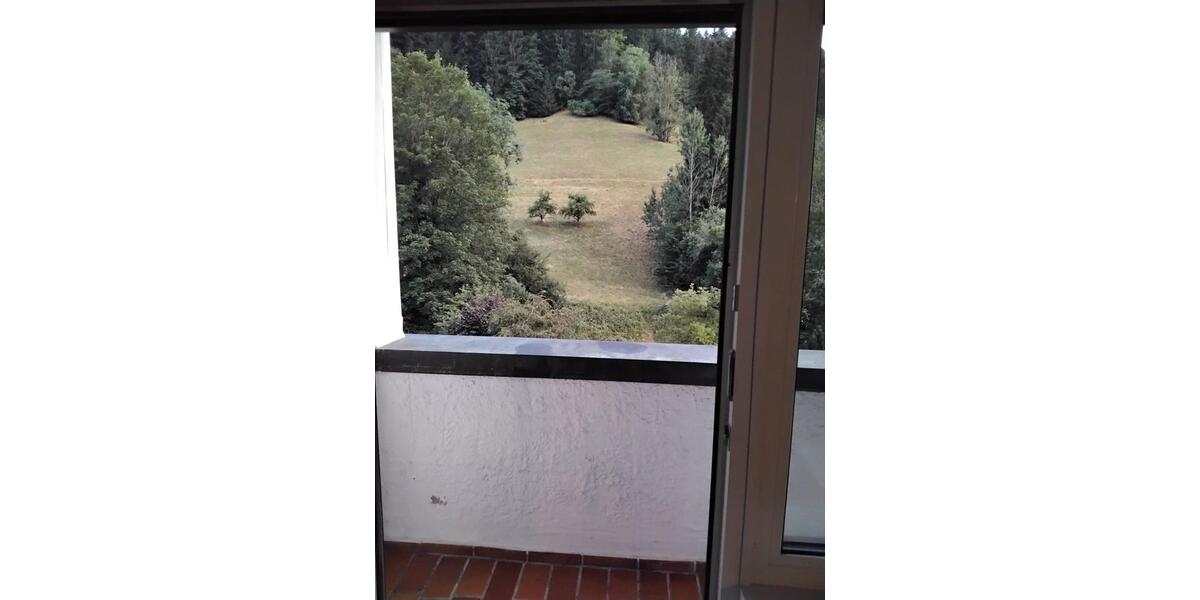 Etagenwohnung Schramberg - 1 Zimmer, 34 m&sup2;, 390&euro; | Angebot:26395531
