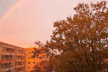 Wohnen auf Zeit Cottbus - 2 Zimmer, 15 m&sup2;, 360&euro; | Angebot:25561248