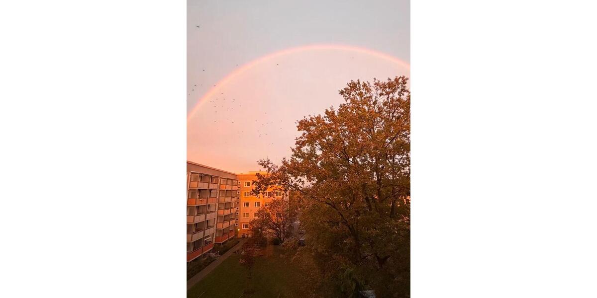 Wohnen auf Zeit Cottbus - 2 Zimmer, 15 m&sup2;, 360&euro; | Angebot:25561248