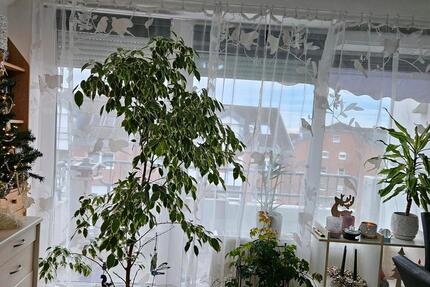 Wohnung Schkeuditz - 1 Zimmer, 35 m&sup2;, 420&euro; | Angebot:24693831