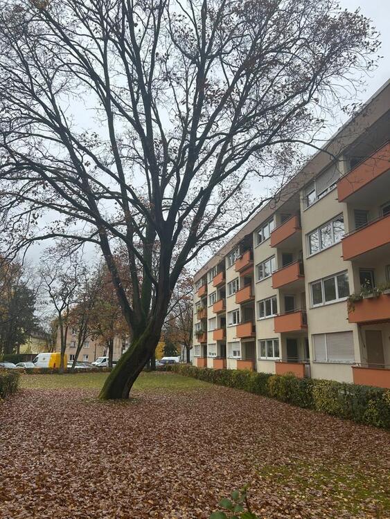 Helle und kernsanierte 3-Zimmer-Wohnung am Frankencenter Nürnberg zimmer