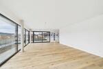 Einzigartiges Penthouse-Living – hoch über Scheer 4 zimmer