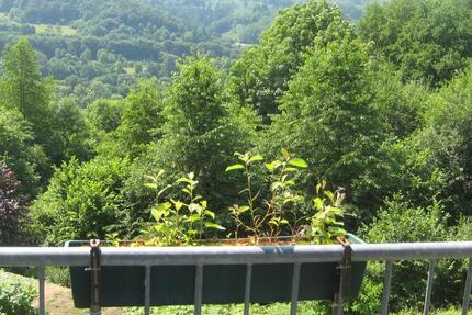 3 ZKB Dillenburg mit Garage und Stellplatz 3 zimmer