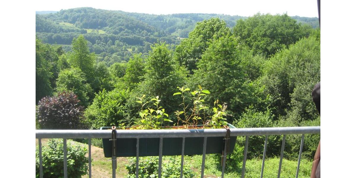 3 ZKB Dillenburg mit Garage und Stellplatz 3 zimmer