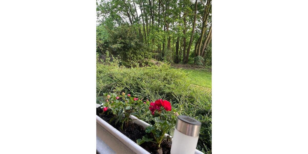 Wohnen auf Zeit Münster Münster-West - 2 Zimmer, 45 m&sup2;, 1.395&euro; | Angebot:26049542