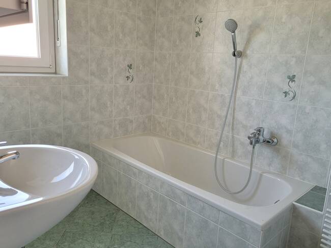 Helle Wohnung im Hochparterre eines neu renovierten 2-Parteien-Miethauses, mit Terrasse, Garten,etc!