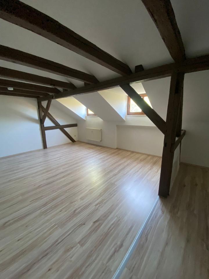 Helle 1-Zimmer-Wohnung, 48,5 m² – Max-Pechstein-Straße 2, Zwickau
