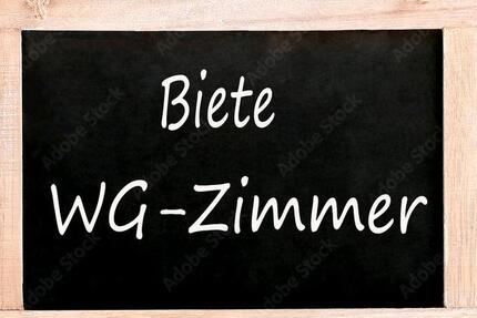 Wohnen auf Zeit Hackenheim - 2.5 Zimmer, 70 m&sup2;, 450&euro; | Angebot:25540073
