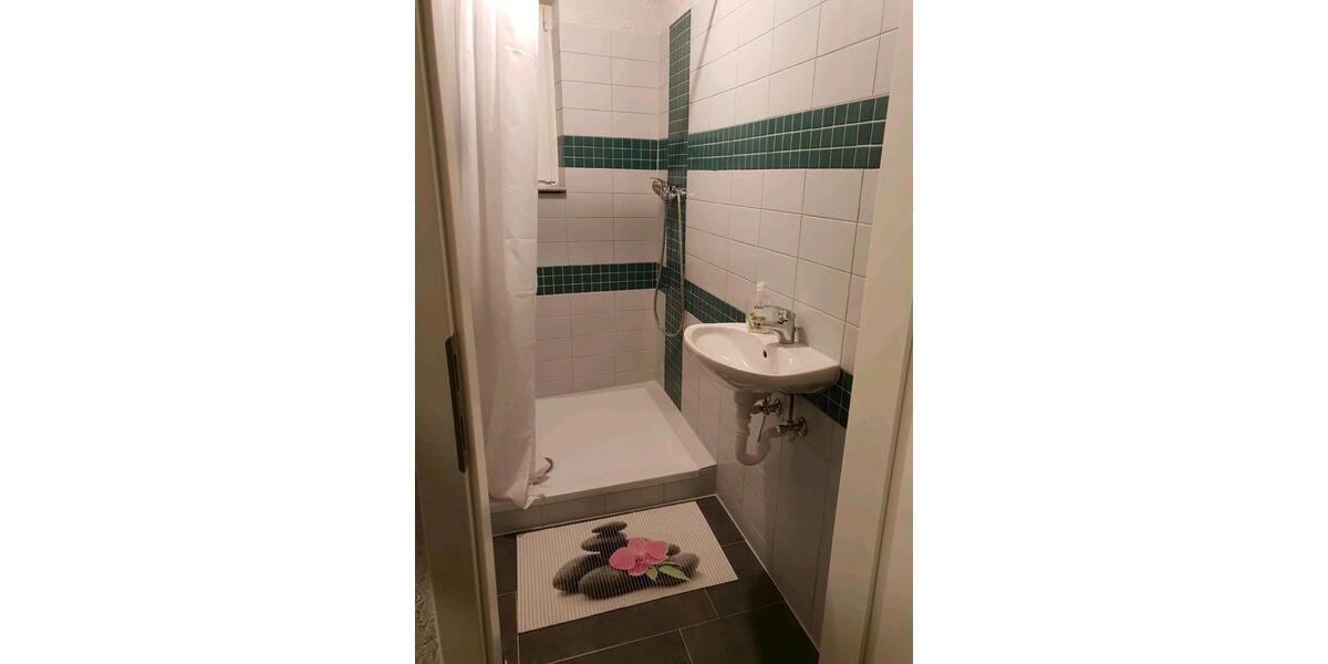 Wohnen auf Zeit Kandel - 5 Zimmer, 300 m&sup2;, 15&euro; | Angebot:24422554