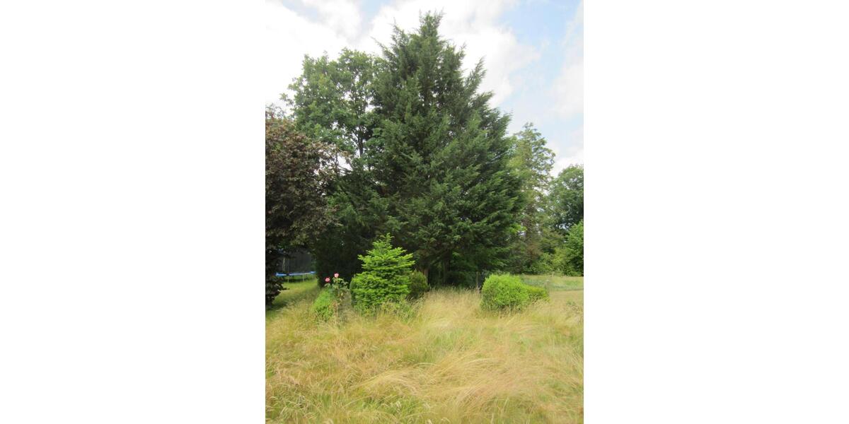 Einfamilienhaus Cadenberge - 3 Zimmer, 90 m&sup2;, 825&euro; | Angebot:25643736