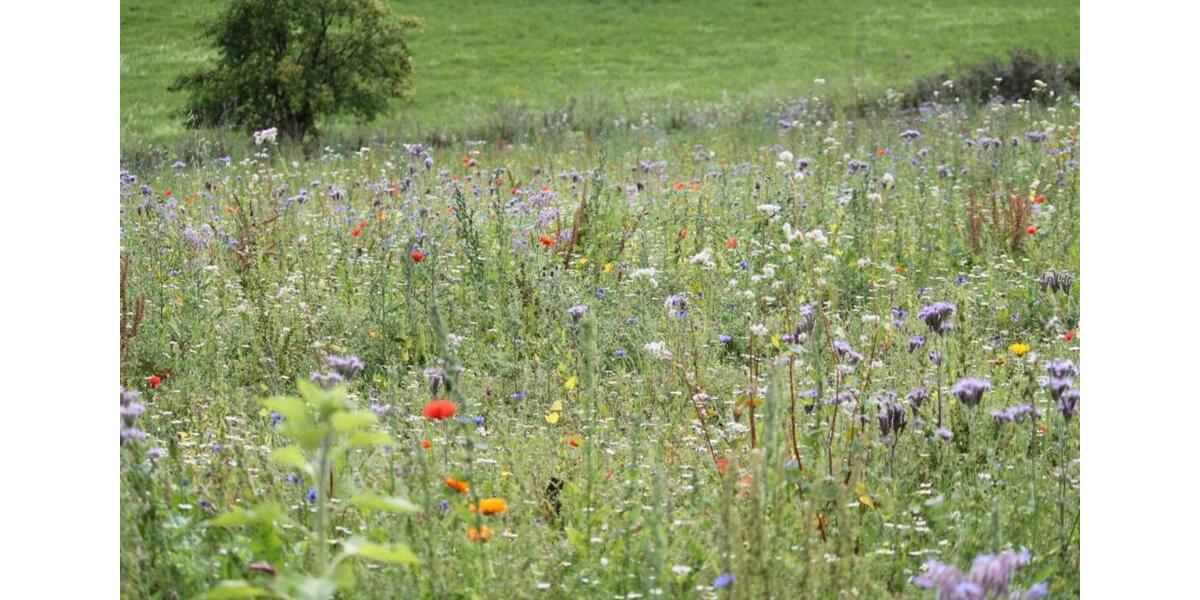 2-Zimmer Wohnung Aussiedlerhof Bauernhof 2 zimmer