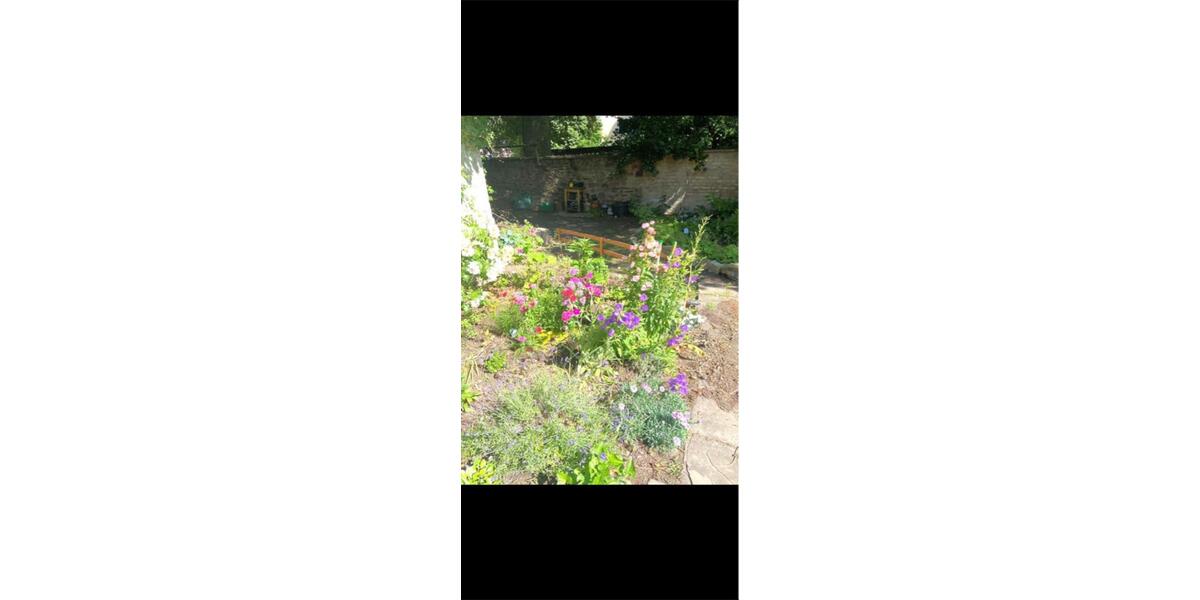 Wohnen auf Zeit Germersheim - 1 Zimmer, 18 m&sup2;, 350&euro; | Angebot:26133400