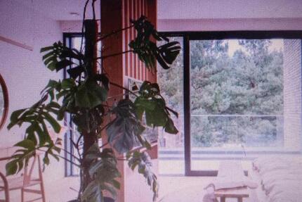 Wohnung Amberg - 250&euro; | Angebot:26705047