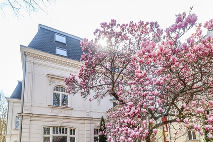 KARL-HEINE-STRASSE + TOP LAGE + SOUTERRAIN GEWERBEFLÄCHE + ZU VERMIETEN 6 zimmer