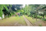 Bautzen - Top Sanierte Singlewohnung - Dachgeschoßwohnung Bautzen Bautzen | Angebot:27258854
