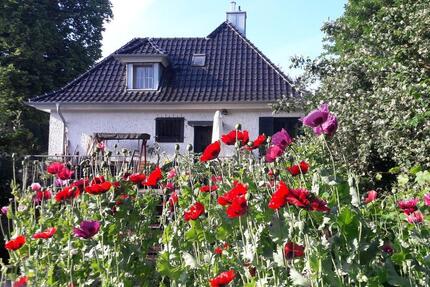 Wohnung Gronau (Westfahlen) - 1 Zimmer, 25 m&sup2;, 395&euro; | Angebot:25904658