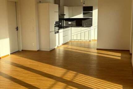 Wohnung zum Mieten in Offenbach am Main 2.695 € 154 m² 5 zimmer