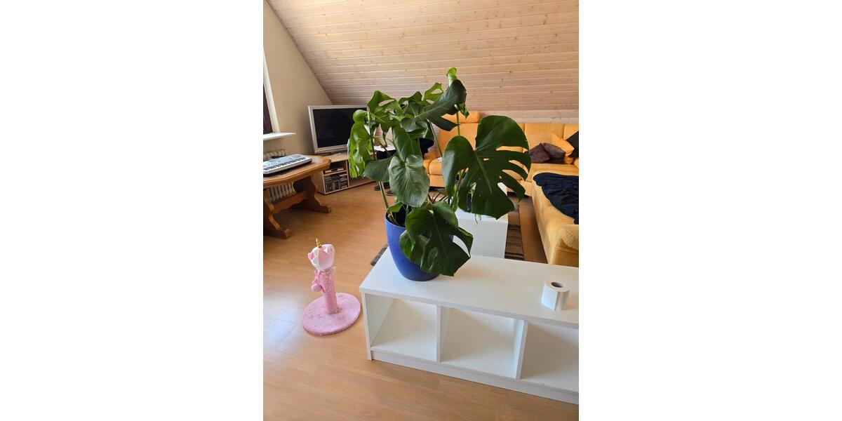 Maisonettenwohnung Neu-Eichenberg Eichenberg - 6 Zimmer, 112 m&sup2;, 920&euro; | Angebot:26630953