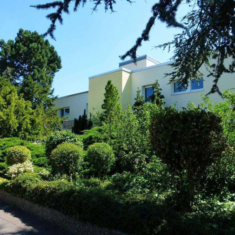Wohnung zum Mieten in Neustadt 1.175 € 118 m²