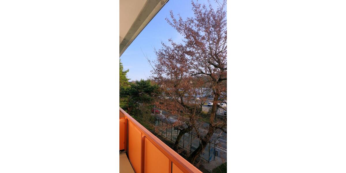 Etagenwohnung Sondershausen - 3 Zimmer, 60 m&sup2;, 424&euro; | Angebot:26003737