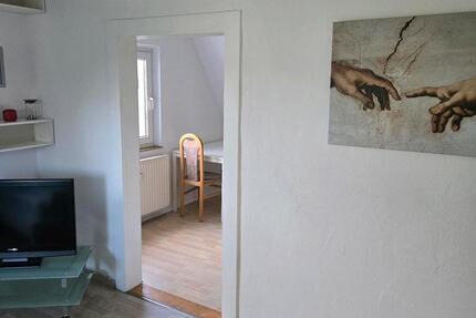 1 Zimmer Wohnung mit großer Küche 1 zimmer