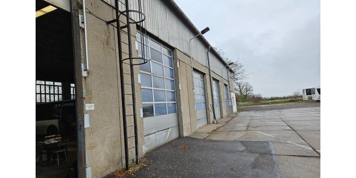 Gewerbeobjekt Wittenberg Lutherstadt - 3&euro; | Angebot:23588007