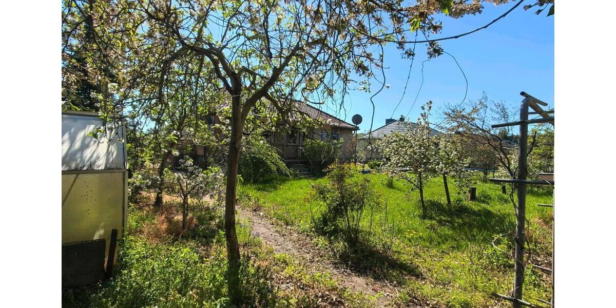 Bungalow Coswig (Anhalt) Serno - 4 Zimmer, 120 m&sup2;, 1.000&euro; | Angebot:26491893