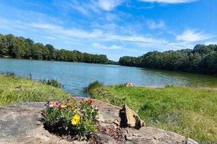 Wohnung Seelow - 1 Zimmer, 48 m&sup2;, 445&euro; | Angebot:26028968