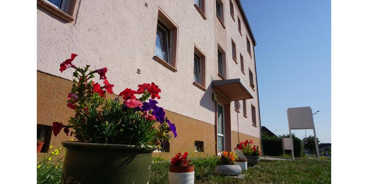 Etagenwohnung Egeln - 1 Zimmer, 33 m&sup2;, 359&euro; | Angebot:21479643