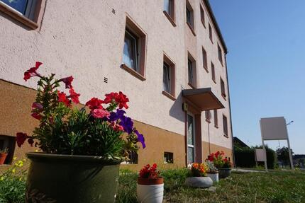 Wohnung Egeln - 1 Zimmer, 33 m&sup2;, 359&euro; | Angebot:21479643