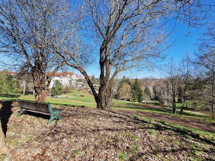 Etagenwohnung Leisnig - 4 Zimmer, 68 m&sup2;, 380&euro; | Angebot:23866358