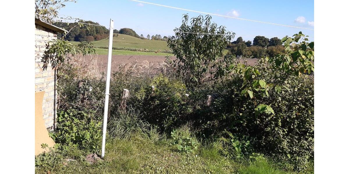 Erdgeschoßwohnung Teterow - 2 Zimmer, 42 m&sup2;, 425&euro; | Angebot:24980831