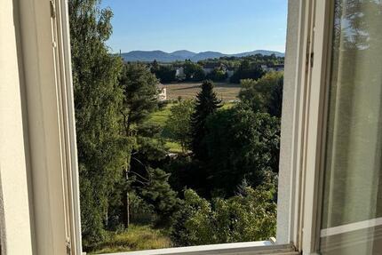 Wohnung Zittau - 1 Zimmer, 250&euro; | Angebot:22229487