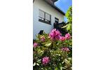 Wohnen am Rosengarten ruhig, elegant, zentral - Doppelhaushälfte