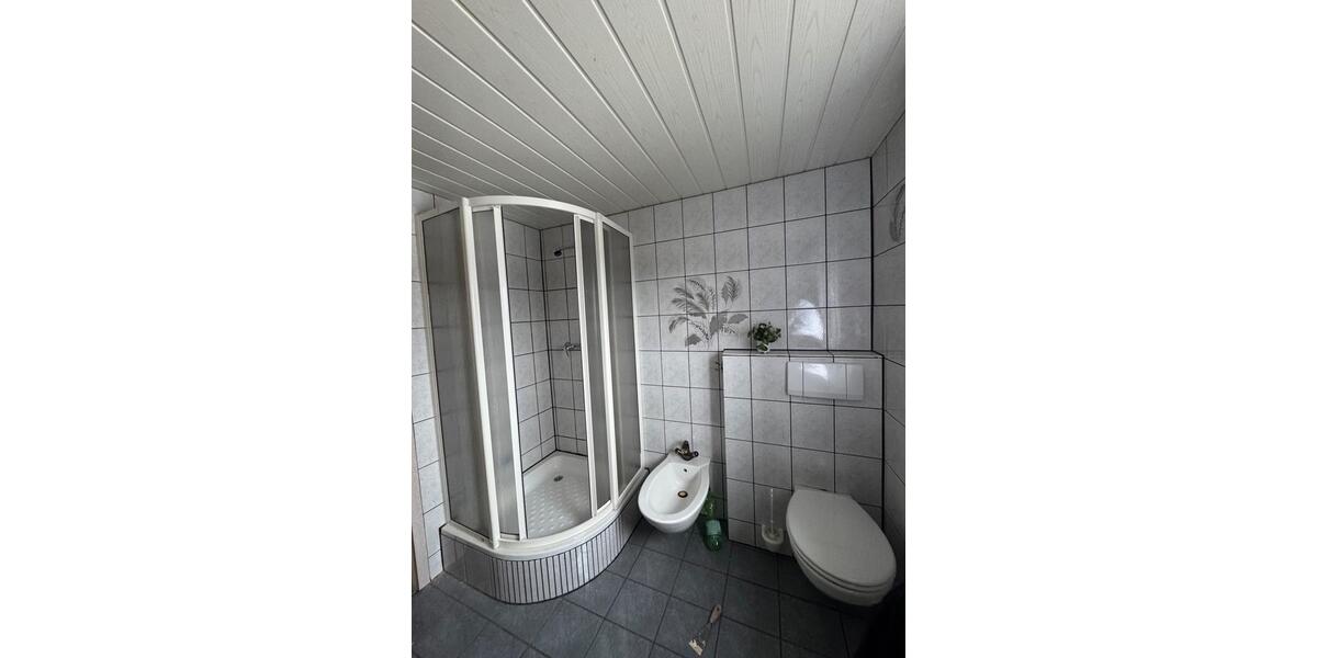 Dachgeschoßwohnung Borken (Hessen) - 1 Zimmer, 60 m&sup2;, 700&euro; | Angebot:24980088