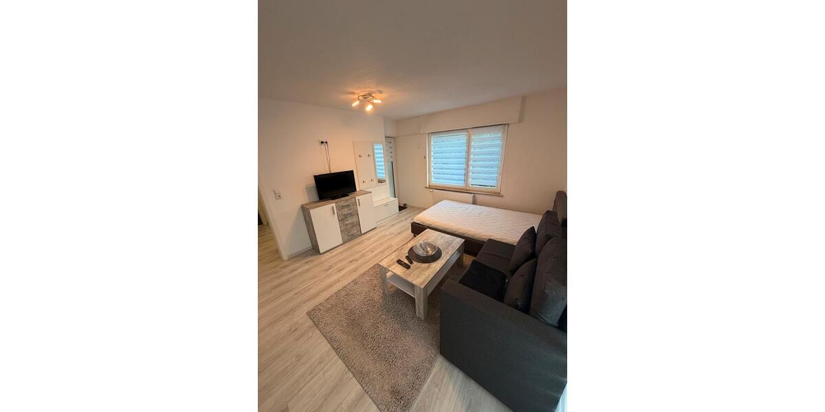 Erdgeschoßwohnung Singen (Hohentwiel) - 2 Zimmer, 50 m&sup2;, 900&euro; | Angebot:26636276