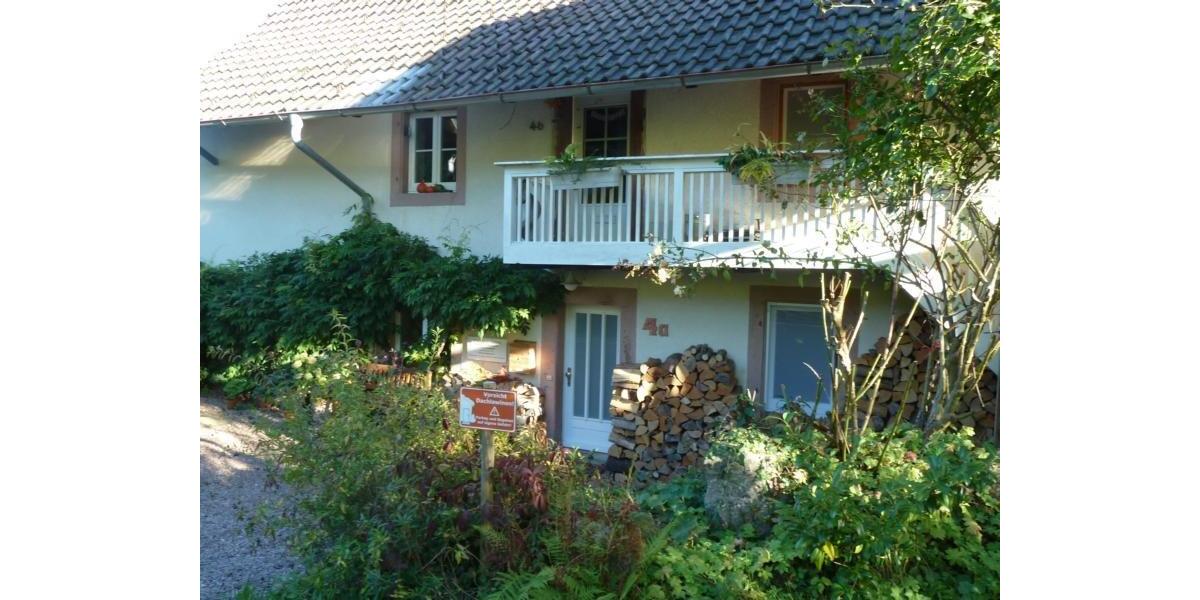 Wohnen auf Zeit Kleines Wiesental - 2 Zimmer, 51 m&sup2;, 500&euro; | Angebot:26691486