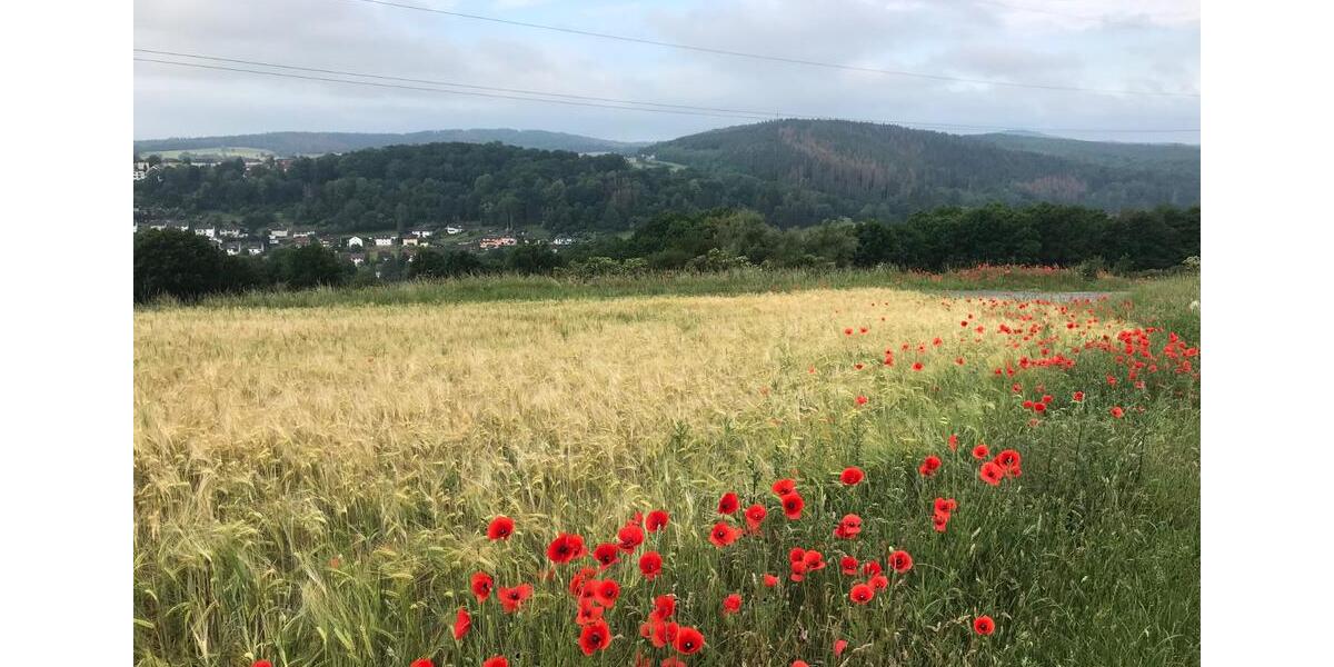 Dachgeschoßwohnung Bad Hersfeld - 2 Zimmer, 50 m&sup2;, 450&euro; | Angebot:25932501