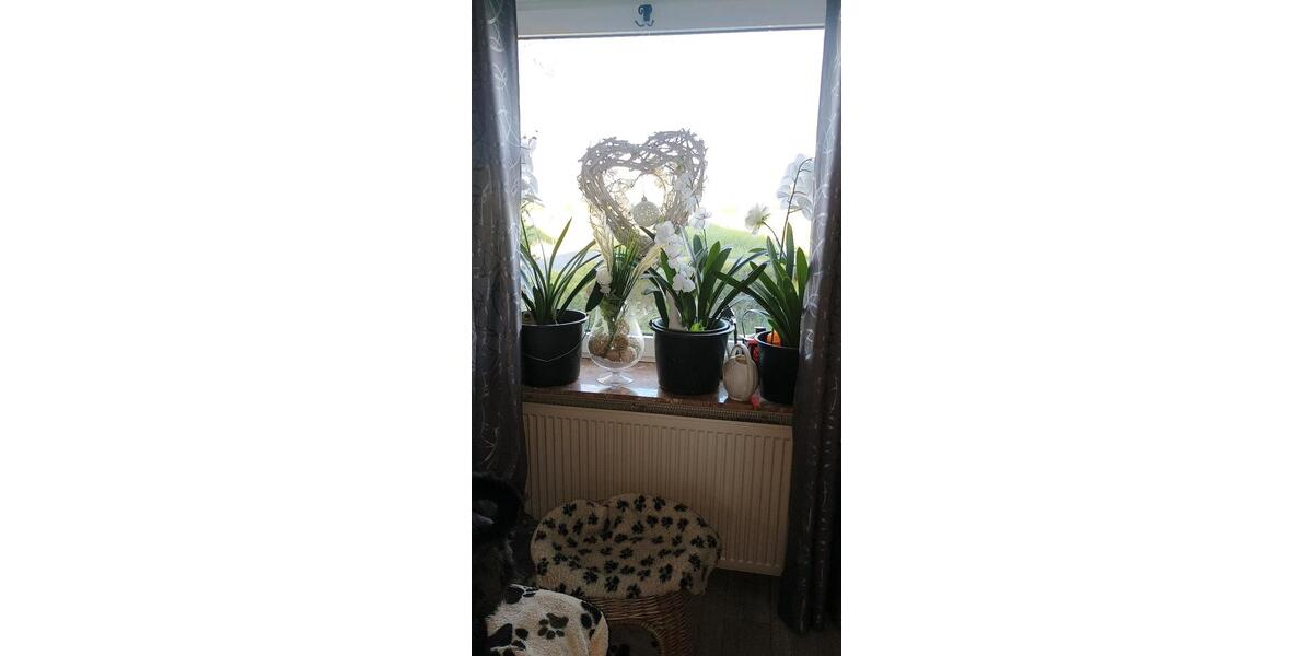 Dachgeschoßwohnung Stadland - 2 Zimmer, 70 m&sup2;, 900&euro; | Angebot:26696476