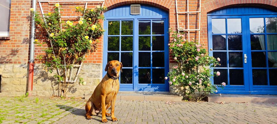 Etagenwohnung Steinheim - 3 Zimmer, 105 m&sup2;, 1.050&euro; | Angebot:23796246