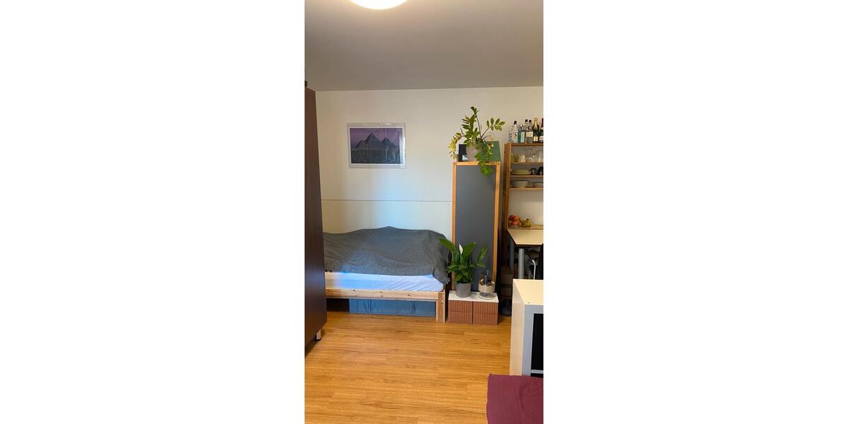 Erdgeschoßwohnung Bayreuth Altstadt - 1 Zimmer, 30 m&sup2;, 594&euro; | Angebot:25962915