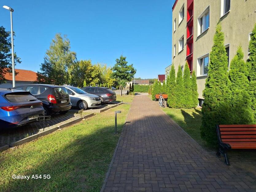 Komfortabel & Sonning: 2-Zim.-Whg. mit Süd-Balkon und Stellplatz